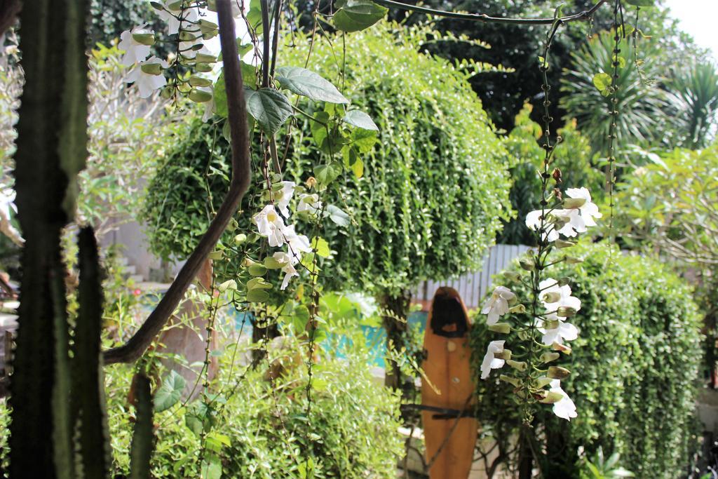 Bingin Inn Uluwatu Εξωτερικό φωτογραφία